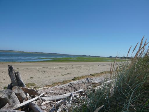 Het begin punt van Catlins