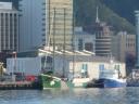 Greenpeace schip
