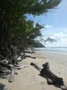 Strand van Cow Bay in Cape Tribulation