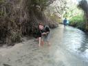 Waden door een creek
