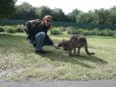 Kangaroo