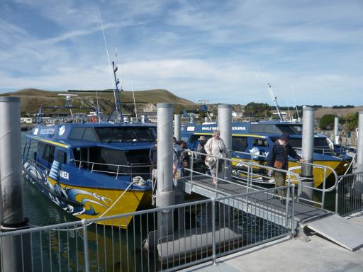Onze boot
