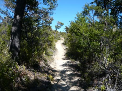 Walk