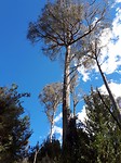 20180307_160519