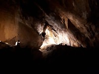 De grotten van mole Creek