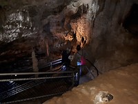 De grotten van mole Creek