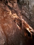 De grotten van mole Creek