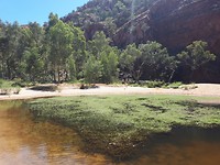 Elery Creek Big Hole