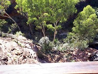 Kings Canyon Rim Walk