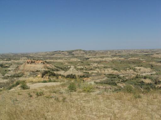 DSC01117