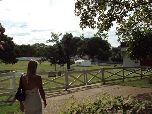 DSC02087