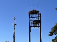 IMG_5488