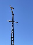 IMG_5492