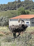 IMG_5503
