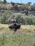 IMG_5507
