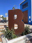 IMG_5513