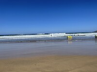 IMG_5542