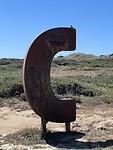 IMG_5546