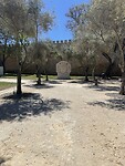 IMG_5554