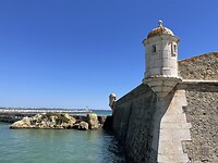 IMG_5557
