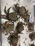 IMG_5589
