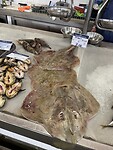 IMG_5590