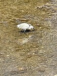 IMG_5603