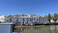 IMG_5604