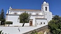 IMG_5608