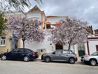 IMG_5633