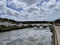 IMG_5667
