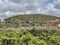 IMG_5675