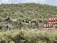 IMG_5678