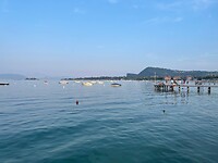 IMG_5183