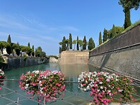 IMG_5187
