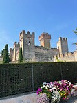 IMG_5192