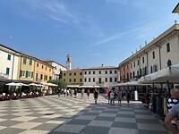 IMG_5195