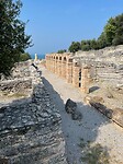 IMG_5201