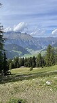 IMG_7091