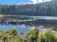 IMG_5392