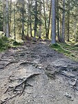 IMG_5398