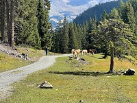 IMG_5406