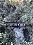 IMG_5433