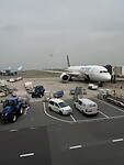 IMG_1436