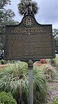 IMG_1605