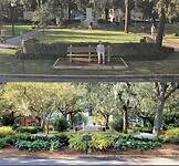 IMG_0352