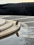 IMG_1687