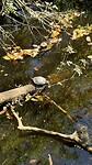 IMG_1757
