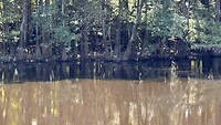 IMG_1759