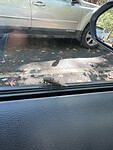 IMG_1768